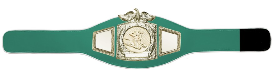 PROEAGLE MMA CHAMPIONSHIP BELT - PROEAGLE/G/MMAG - AVAILABLE IN 6+ COLOURS PROEAGLE MMA CHAMPIONSHIP BELT - PROEAGLE/G/MMAG - AVAILABLE IN 6+ COLOURS